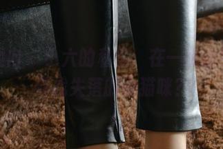 异思趣向 – 小六的私房:在一帘幽梦里,寻找失落的小猫咪?